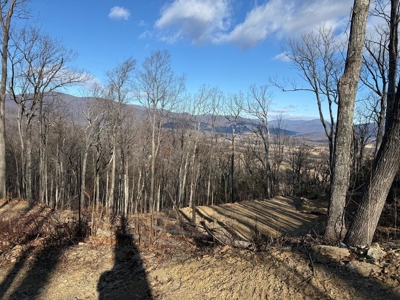 3.2± Ac. Blue Ridge View Lot: Fiber Ready & Cabin Friendly - image 17