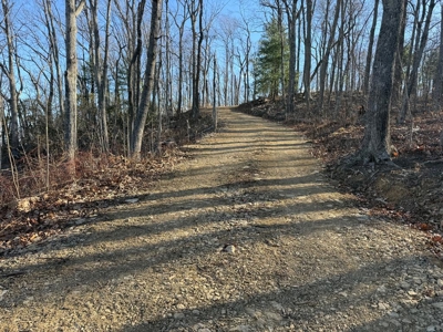 3.2± Ac. Blue Ridge View Lot: Fiber Ready & Cabin Friendly - image 16