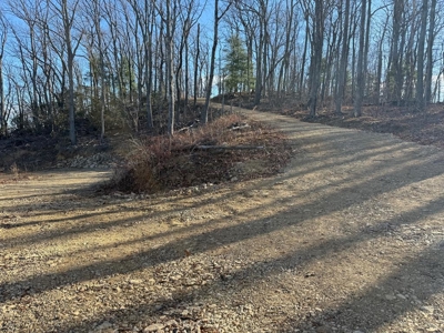 3.2± Ac. Blue Ridge View Lot: Fiber Ready & Cabin Friendly - image 14