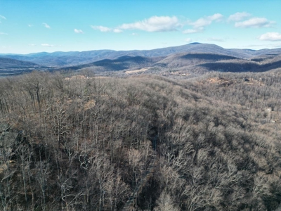 3.2± Ac. Blue Ridge View Lot: Fiber Ready & Cabin Friendly - image 6