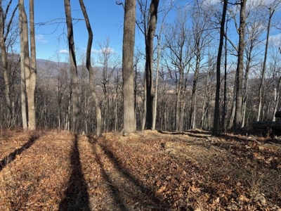 3.2± Ac. Blue Ridge View Lot: Fiber Ready & Cabin Friendly - image 22