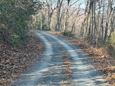 3.2± Ac. Blue Ridge View Lot: Fiber Ready & Cabin Friendly - image 13