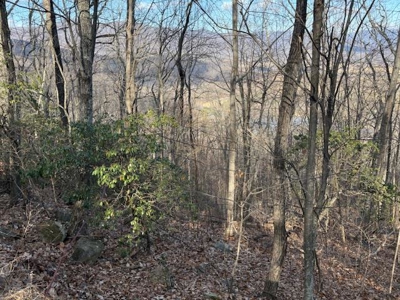 3.2± Ac. Blue Ridge View Lot: Fiber Ready & Cabin Friendly - image 24