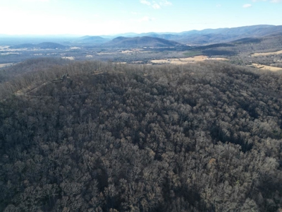 3.2± Ac. Blue Ridge View Lot: Fiber Ready & Cabin Friendly - image 5