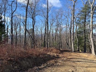 3.2± Ac. Blue Ridge View Lot: Fiber Ready & Cabin Friendly - image 19