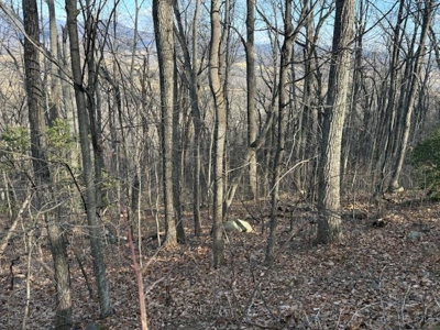 3.2± Ac. Blue Ridge View Lot: Fiber Ready & Cabin Friendly - image 23