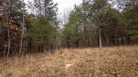 Wooded Acreage for sale in the Missouri Ozarks - image 8