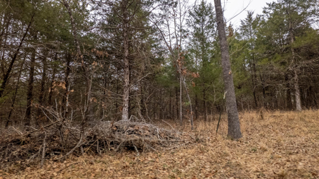 Wooded Acreage for sale in the Missouri Ozarks - image 12