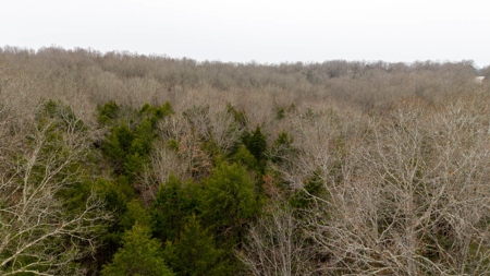 Wooded Acreage for sale in the Missouri Ozarks - image 6