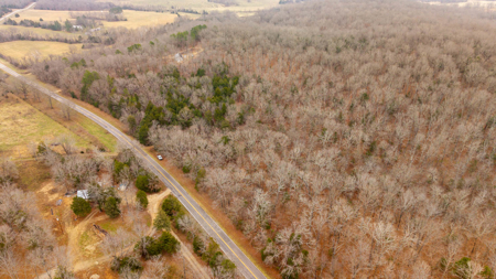 Wooded Acreage for sale in the Missouri Ozarks - image 3