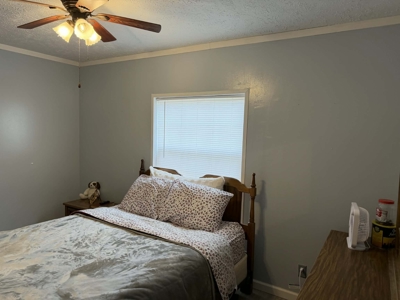 Home on 1.9+/- Acres in Albany, Kentucky - image 32