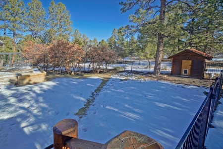 Exceptional Colorado Log Home for Sale in Ridgway, Colorado - image 22