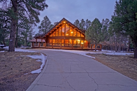Exceptional Colorado Log Home for Sale in Ridgway, Colorado - image 1