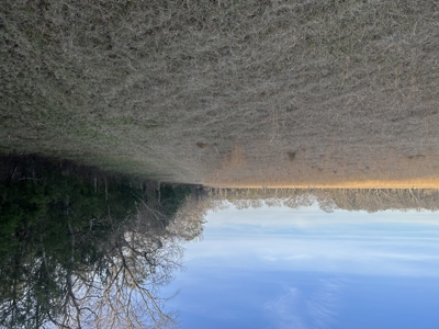 The Croft: 63 Acres for Farm, Hunt & Homesites - image 35