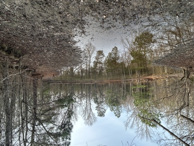 The Croft: 63 Acres for Farm, Hunt & Homesites - image 40