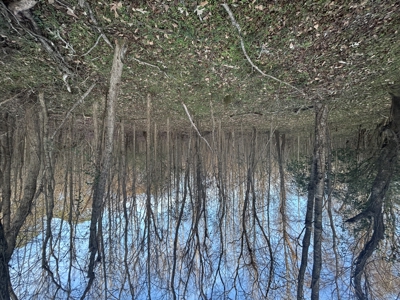 The Croft: 63 Acres for Farm, Hunt & Homesites - image 16