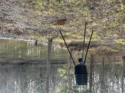 The Croft: 63 Acres for Farm, Hunt & Homesites - image 39
