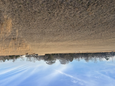 The Croft: 63 Acres for Farm, Hunt & Homesites - image 32