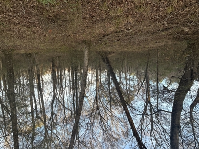 The Croft: 63 Acres for Farm, Hunt & Homesites - image 19