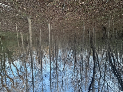 The Croft: 63 Acres for Farm, Hunt & Homesites - image 14