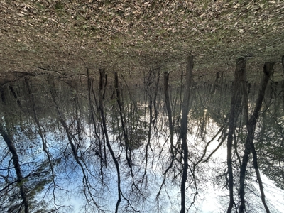The Croft: 63 Acres for Farm, Hunt & Homesites - image 48