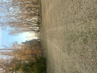 The Croft: 63 Acres for Farm, Hunt & Homesites - image 2