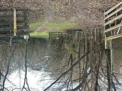 The Croft: 63 Acres for Farm, Hunt & Homesites - image 29