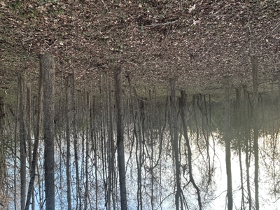 The Croft: 63 Acres for Farm, Hunt & Homesites - image 7