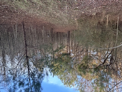 The Croft: 63 Acres for Farm, Hunt & Homesites - image 10