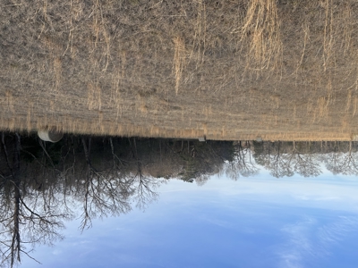 The Croft: 63 Acres for Farm, Hunt & Homesites - image 33