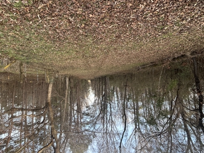 The Croft: 63 Acres for Farm, Hunt & Homesites - image 24