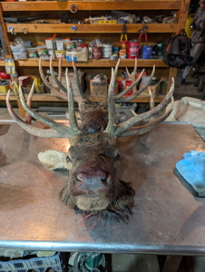 Outfitting Business & Basecamp Property – Rangely, Colorado - image 22