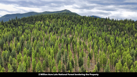 Montana Acreage For Sale in Saint Regis, MT - image 40