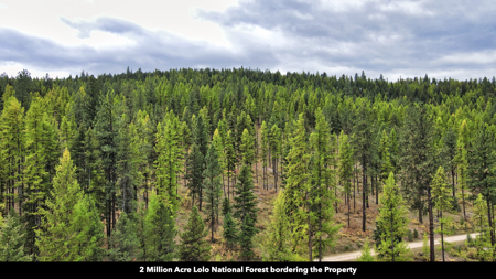 Montana Acreage For Sale in Saint Regis, MT - image 39