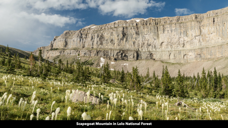 Montana Acreage For Sale in Saint Regis, MT - image 11