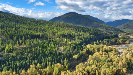 Montana Acreage For Sale in Saint Regis, MT - image 30