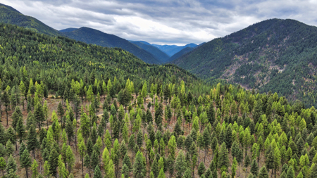 Montana Acreage For Sale in Saint Regis, MT - image 5