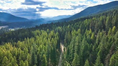 Montana Acreage For Sale in Saint Regis, MT - image 42
