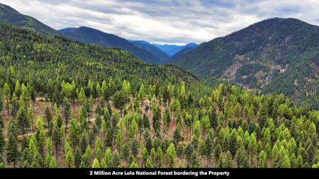 Montana Acreage For Sale in Saint Regis, MT - image 37
