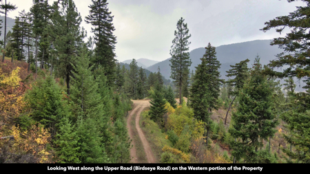 Montana Acreage For Sale in Saint Regis, MT - image 26