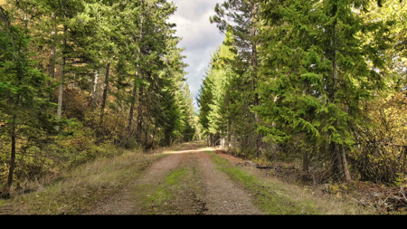 Montana Acreage For Sale in Saint Regis, MT - image 14