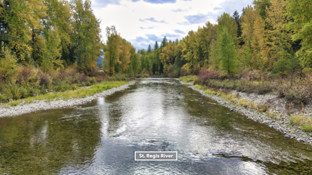 Montana Acreage For Sale in Saint Regis, MT - image 18