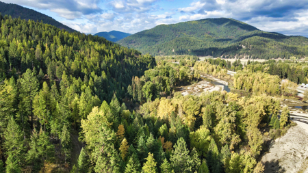 Montana Acreage For Sale in Saint Regis, MT - image 29