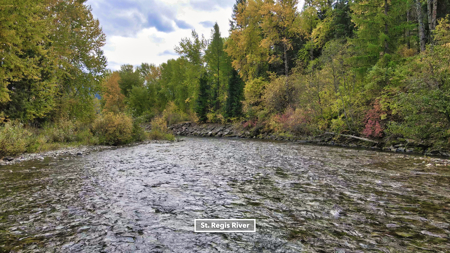 Montana Acreage For Sale in Saint Regis, MT - image 16