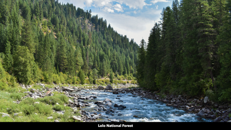 Montana Acreage For Sale in Saint Regis, MT - image 10