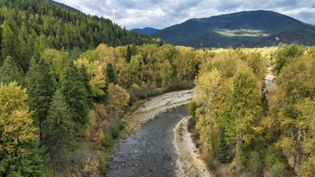 Montana Acreage For Sale in Saint Regis, MT - image 32