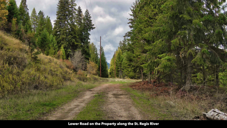 Montana Acreage For Sale in Saint Regis, MT - image 13