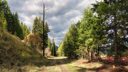 Montana Acreage For Sale in Saint Regis, MT - image 4