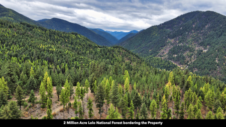 Montana Acreage For Sale in Saint Regis, MT - image 38