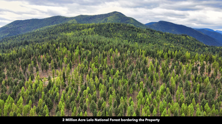 Montana Acreage For Sale in Saint Regis, MT - image 36